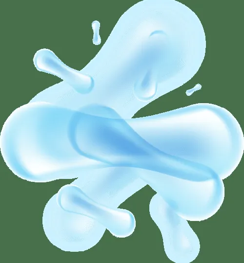 Bifidobacterium lactis BL-04