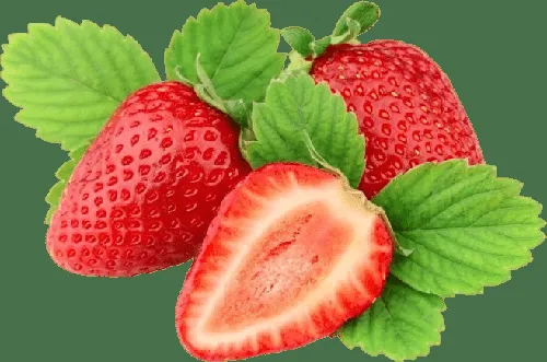 Strawberry Extract